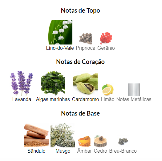 Notas de Fragrância