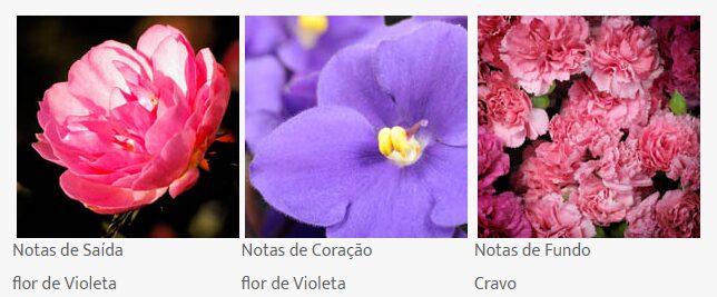 Notas de Fragrância