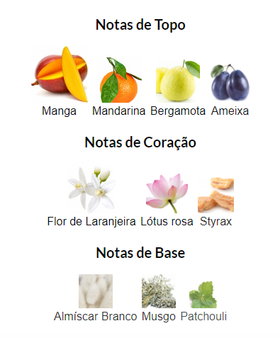 Notas de Fragrância