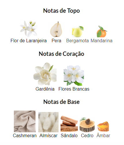 notas da fragrância