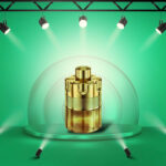 Forever Wanted Elixir