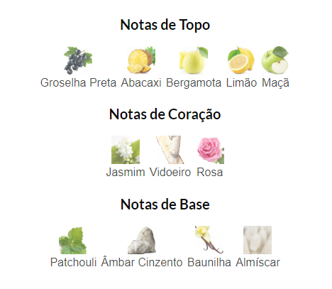Notas Olfativas