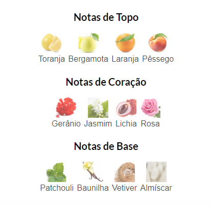 Notas Olfativas