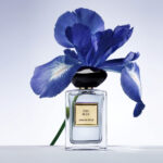 Iris Bleu de Giorgio Armani