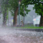 Perfumes com Cheiro de Chuva