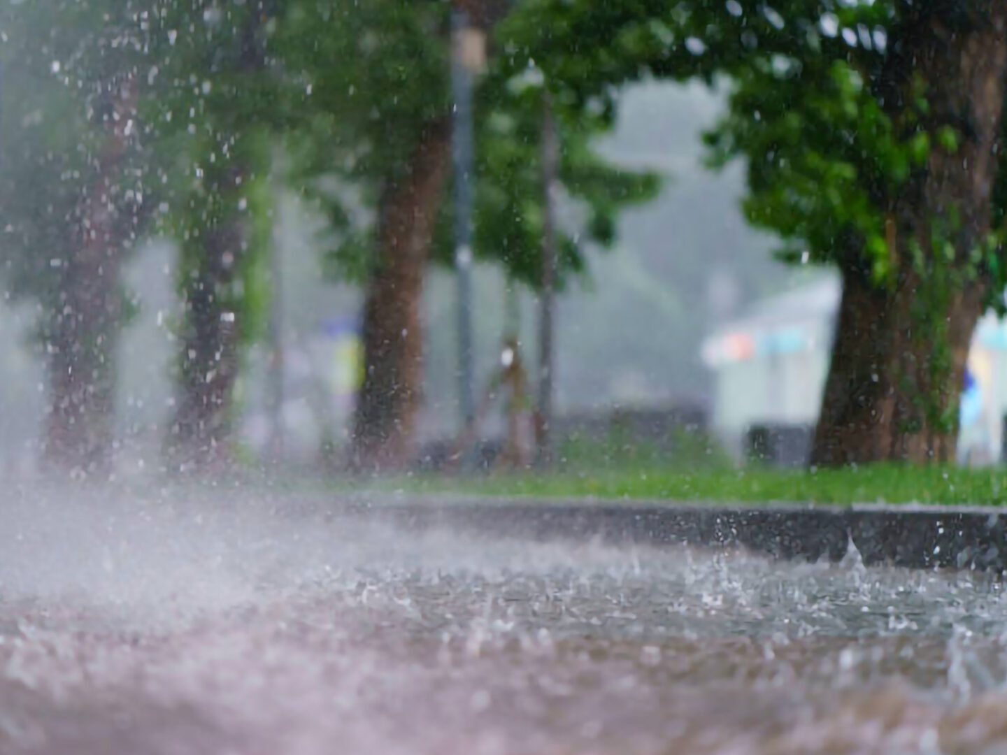 Perfumes com Cheiro de Chuva