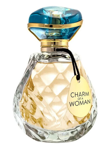 Charm Of A Woman Paris Elysees