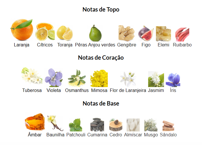 214 Sevilla Dorada - Feminino