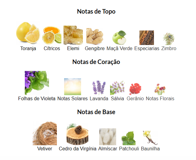 214 Sevilla Dorada - Masculino