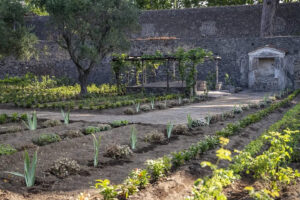 Pompeii’s Perfume Garden Reborn