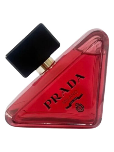 Paradoxe Radical Essence