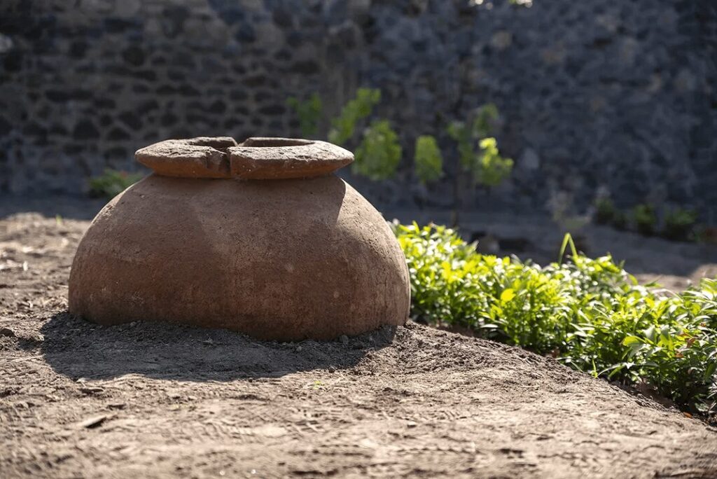 Pompeii’s Perfume Garden Reborn