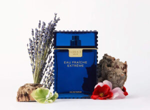 Versace Man Eau Fraîche Extrême