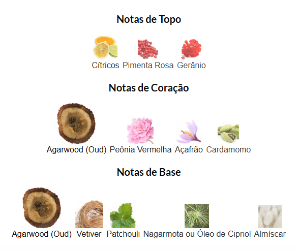 Tom Ford Oud Voyager