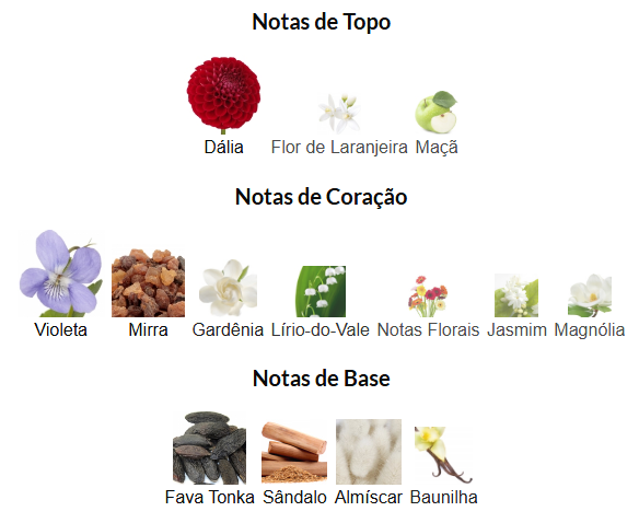 Magnific Violet Dahlia Eudora