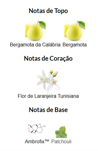 Pirâmides Olfativas do MYSLF Eau de Parfum Yves Saint Laurent