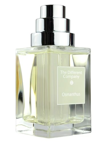 Perfumes de Nicho por Menos de R$ 300