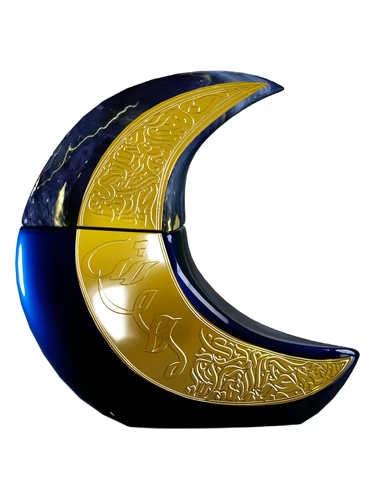 Mehwish PARIS CORNER