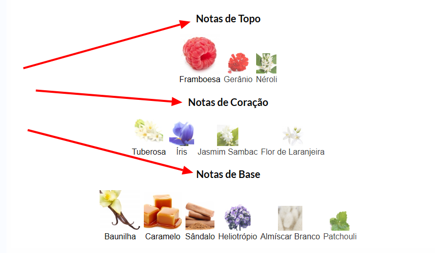 Escolher Perfume Online