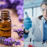 Perfumes Sintéticos vs. Naturais