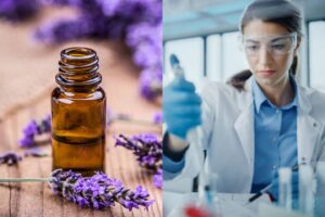 Perfumes Sintéticos vs. Naturais