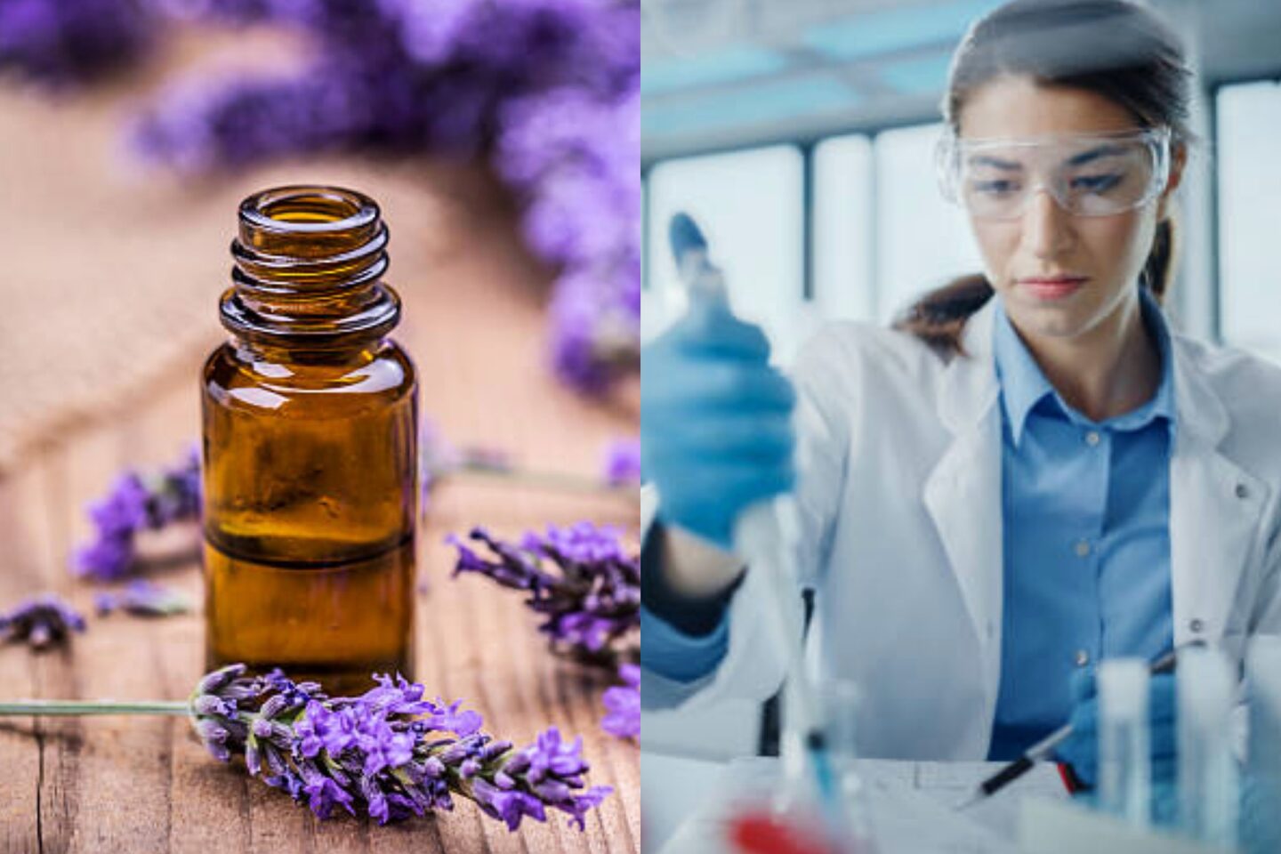 Perfumes Sintéticos vs. Naturais