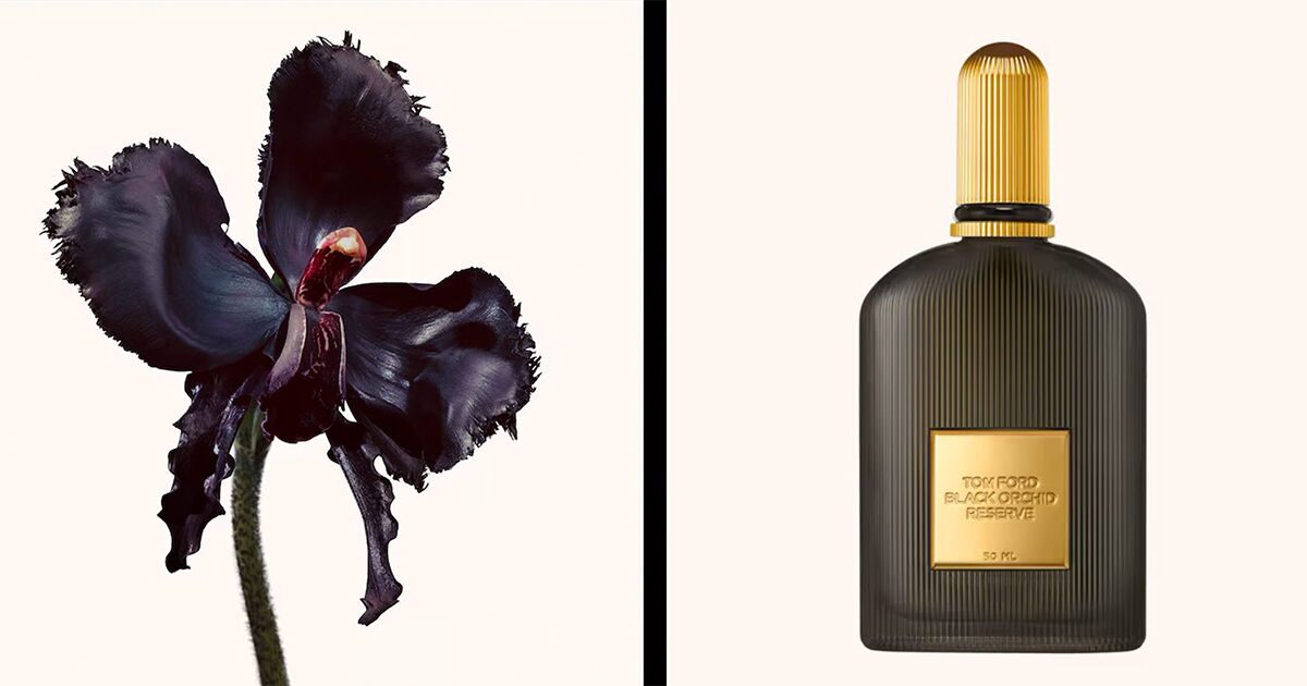 Black Orchid Reserve Tom Ford