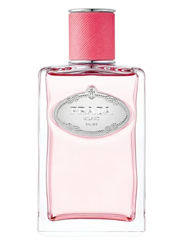 Infusion de Rhubarbe Prada