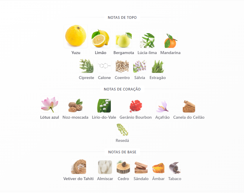 piramide olfativa L'Eau d'Issey Pour Homme Issey Miyake