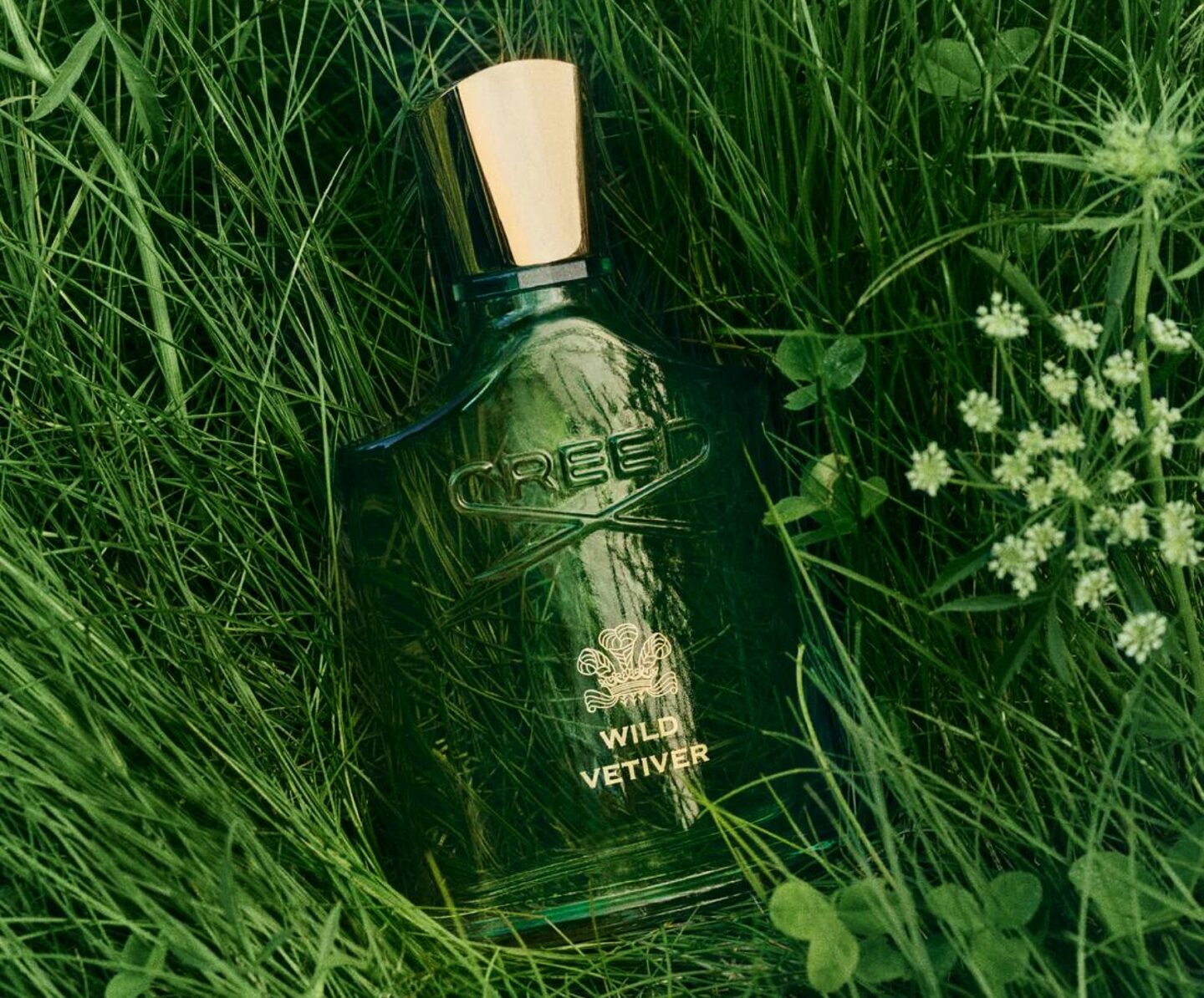 lançamento da Creed