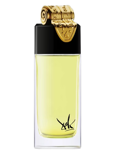 Fluidite Du Temps Imaginaire Salvador Dali