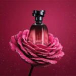 Floratta Rose Sucrée